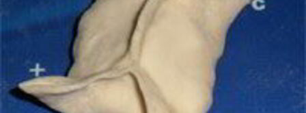 манты узбекские. Шаг 11