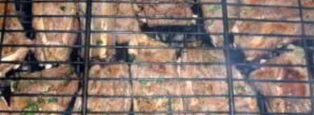 бараньи ребрышки. Шаг 6