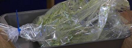 грудка индейки в зеленом маринаде. Шаг 7