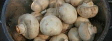 куриная грудка с шампиньонами в сливках. Шаг 5