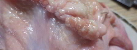 начиненная курица тутырган-таук. Шаг 4