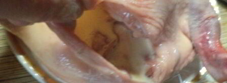 начиненная курица тутырган-таук. Шаг 7