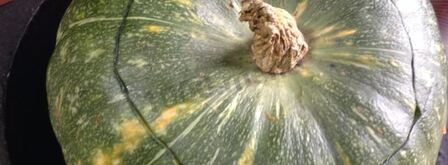 тыква запеченная с курицей и яблоками. Шаг 10