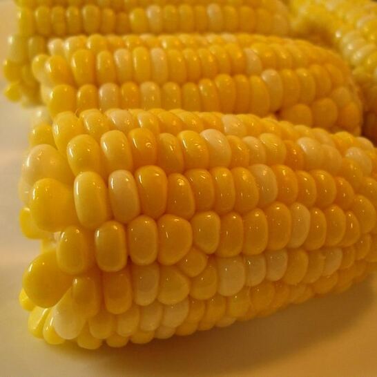 Рецепт вареной кукурузы в початках