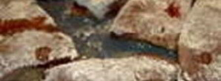 печень телячья по-берлински. Шаг 4