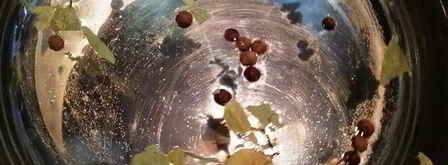 хинкали с бараниной и индейкой на пару. Шаг 9