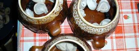 пельмешки в горшочке. Шаг 16