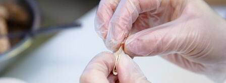 уральские пельмени с говядиной. Шаг 7