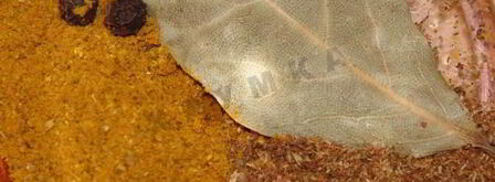 плов с грибами и курицей в мультиварке. Шаг 11