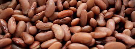 рагу из курицы с фасолью и запеченным чесноком. Шаг 3