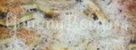 рататуй с пармезаном. Шаг 11