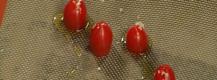 форель дартуа с яйцом пашот. Шаг 8