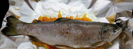 форель на луковой подушке под сливочно-сметанным соусом с хреном. Шаг 6