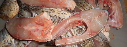 карп с лещом и овощи al dente. Шаг 3