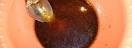 стейк голубой акулы. Шаг 5