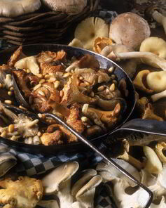 Жаркое с летними опятами