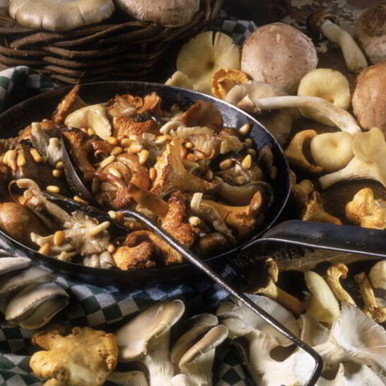 Рецепт жаркого с летними опятами