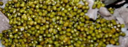 ароматная каша с машем, рисом и мясом. Шаг 6