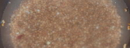 гречка по-флотски. Шаг 5