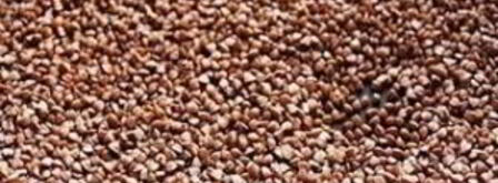 гречка, томленная со свининой. Шаг 3