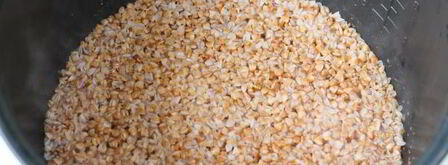 молочная гречневая каша в мультиварке. Шаг 8