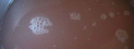 каша из красной чечевицы. Шаг 3