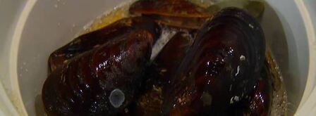 полента с мидиями и беконом. Шаг 3