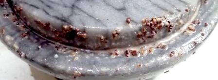 кутья из перловки на рождество рождественская. Шаг 8