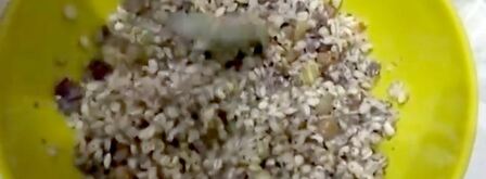 кутья из перловки на рождество рождественская. Шаг 10