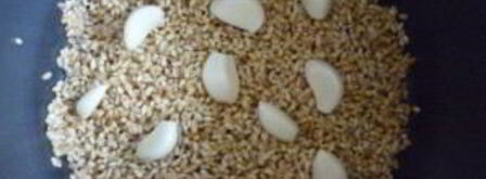 перловка с тушенкой. Шаг 3