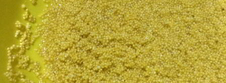 пшенная каша с тыквой и вареньем. Шаг 3