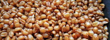 рождественская кутья из пшеницы. Шаг 3