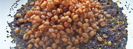 рождественская кутья из пшеницы. Шаг 9