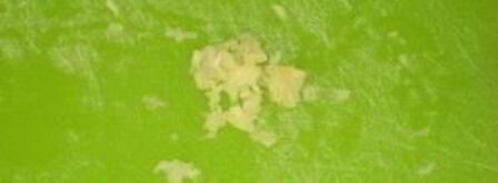 чай гарам масала. Шаг 3