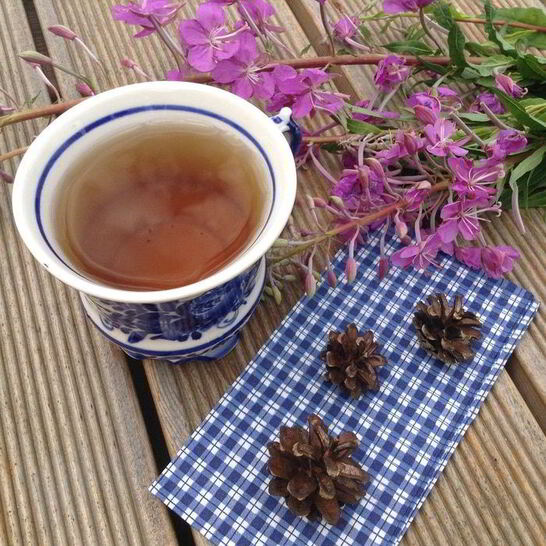 Рецепт чая кипрей