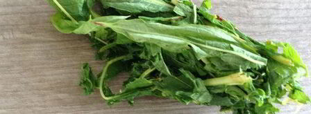 чай кипрей. Шаг 6