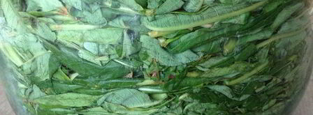 чай кипрей. Шаг 7