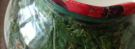 чай кипрей. Шаг 8