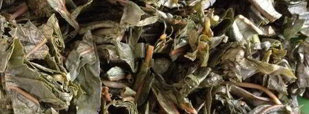 чай кипрей. Шаг 11