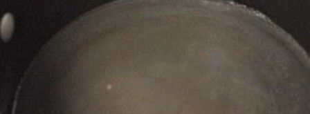 имбирно-мятный чай. Шаг 3