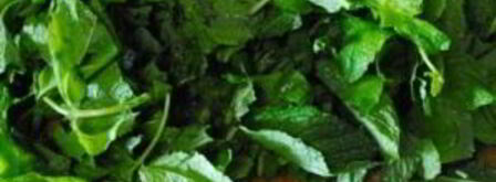 имбирно-мятный чай. Шаг 6