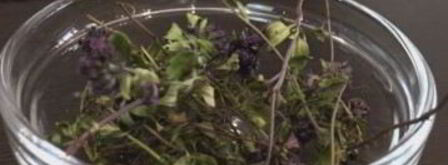 успокоительный чай. Шаг 6