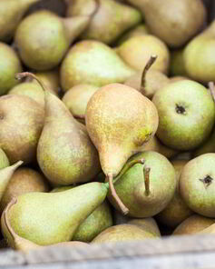 Домашнее вино из груш