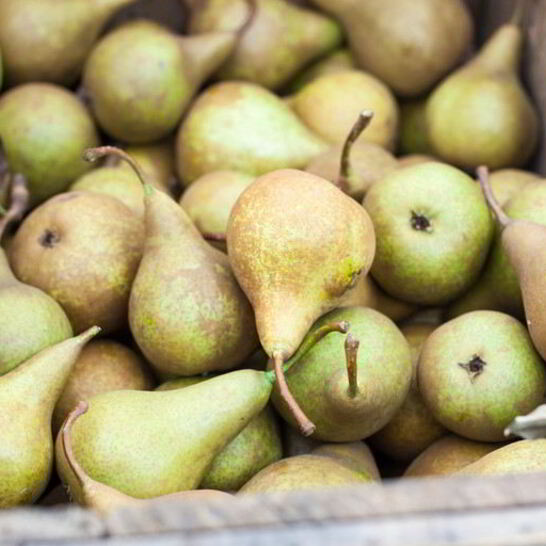 Рецепт домашнего вина из груш