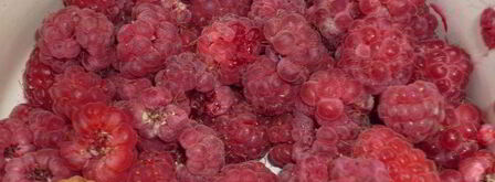 дедушкин любимый кисель. Шаг 9