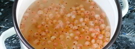 кисель из кукурузного крахмала. Шаг 10