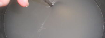 кисель из ревеня. Шаг 5