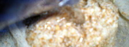 старорусский овсяный кисель. Шаг 4