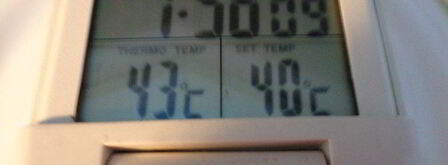 классический капучино вива италия. Шаг 6