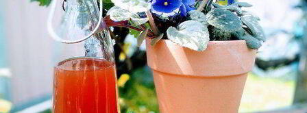 коктейль для него и для нее. Шаг 3